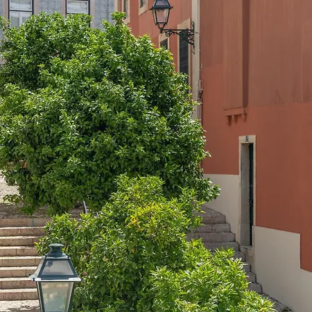 Orange 3 House - Chiado Daire
