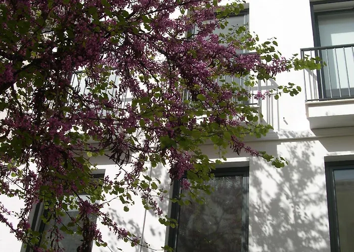 Orange 3 House - Chiado